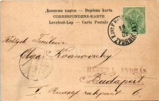 1902 Zvornik, street view with mosque (EK)