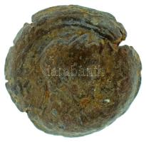 Római Birodalom 150-151 / Antoninus Pius / Egyiptom / Alexandria / Obol bronz (4,92g) T:F Roman Empire 150-151 / Antoninus Pius / Egypt / Alexandria / Obol bronze "[...]" Female griffin sitting right, left forepaw on wheel (4,92g) C:F
