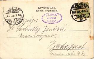 1903 Zagreb, Zágráb; Nadbiskupski dvor / érseki palota. Dr. Cholnoky Jenőnének címezve / archbishop&...