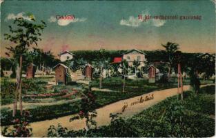 Gödöllő, M. kir. méhészeti gazdaság. Heisler Ferenc kiadása (Rb)