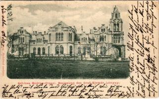 1900 Bodrogolaszi, Bodrog-Olaszi; Gróf Lónyay Elemér és Stefánia kastélya. Podleszny A. felvétele (EK)