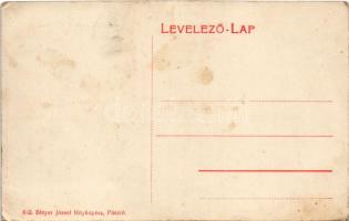 Pásztó, Fő utca, Klein Gyula, W. Ferenc üzlete. Bleyer József fényképész kiadása 682. (EK)