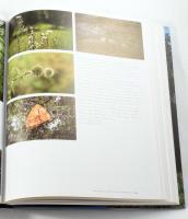 Burger Barna: Kékvándor. Ösvények, utak, képek. Bp., 2015, Magyar Természetjáró Szövetség. Kiadói ka...