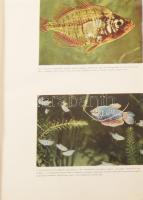 Lányi György - Wiesinger Márton: Akvarisztika. DEDIKÁLT Lányi György által Veres Pál számára. Bp., 1...