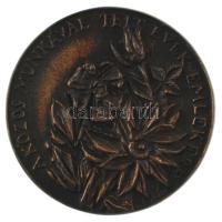 1993. "A közös munkával telt évek emlékére" egyoldalas, öntött bronz emlékérem, hátlapon "19.sz. Általános Iskola 1993" gravírozással, kopottas tokban (83mm) T:AU