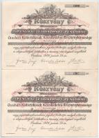 1926. Orosháza "Orosházi Kisbirtokosok Kereskedelmi Részvénytársasága" névre szóló részvén...