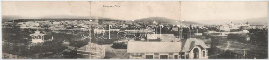 Chita, 3-tiled folding panoramacard with library, synagogue (creases)