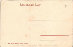 Balatonfüred, a tihanyi félszigettel. A polgári iskola épülete (1906) már áll, de a vasút még nem ép...