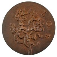 1970 k. "T.O.T. / Kiváló Termelőszövetkezeti Munkáért" öntött bronz emlékérem (96mm) T:XF