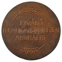 1970 k. "T.O.T. / Kiváló Termelőszövetkezeti Munkáért" öntött bronz emlékérem (96mm) T:XF