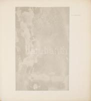 Gustav Klimt: Ver Sacrum. XVIII. Ausstellung der Ler Österreichs Secession Nov. = Dez. 1903 Wien. Ko...