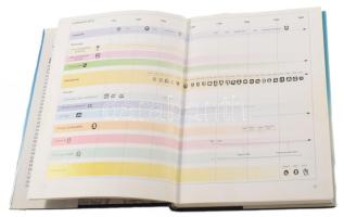 Ian Pickford: Antik ezüst (Régiséggyűjtők kézikönyve). Színes képekkel illusztrálva. Bp., 1999, SubR...