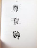 Barcsay Jenő: Művészeti anatómia. Bp., 1985, Corvina. Kiadói egészvászon-kötés, foltos kiadói papír ...