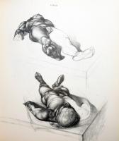 Barcsay Jenő: Művészeti anatómia. Bp., 1985, Corvina. Kiadói egészvászon-kötés, foltos kiadói papír ...