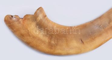 Sófár. kosszarv, oroszországi zsidó közösség, cca 19. sz. közepe - második fele, jelzés nélkül, h: 3...