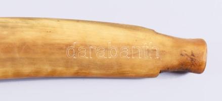 Sófár. kosszarv, oroszországi zsidó közösség, cca 19. sz. közepe - második fele, jelzés nélkül, h: 3...