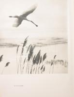 Ifj. Tildy Zoltán - Vertse Albert: Kisbalaton. Bp., 1953, Művelt Nép Könyvkiadó. Kiadói félvászon kö...