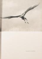 Ifj. Tildy Zoltán - Vertse Albert: Kisbalaton. Bp., 1953, Művelt Nép Könyvkiadó. Kiadói félvászon kö...