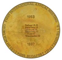 1987. "25. Nemzetközi Találkozó - Hevesy György Alapítvány" kétoldalas, angol nyelvű bronz emlékérem (80mm) T:AU
