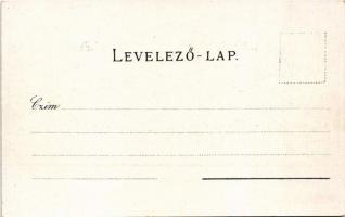 Székelyudvarhely, Odorheiu Secuiesc; Állami reáliskola. Gál János kiadása / school