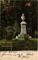 1903 Buziásfürdő, Baile Buzias; Trefort Ágoston miniszter mellszobra. Huzly István kiadása / Minister Trefort-Büste / monument