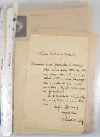 dr. Bodor Antal (1886-1954) szociográfus, falukutató iratanyaga. 43 db, benne neki írt autográf aláírással Herczeg Ferenc, Szabolcska Mihály, Pálóczy Edgártól, professzorok levelei, vármegyei monográfiák, helytörténeti kiadványok, falu tervezéssel kapcsolatos háború előtti kiadványok.