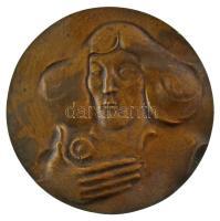 Lengyelország 1973. "Kopernikusz születésének 500. évfordulója" kétoldalas bronz emlékérem (70mm) T:XF ph. Poland 1973. "500th Anniversary of the birth of Copernicus" double-sided bronze commemorative medal. "Mikołaj Kopernik 1473 - 1973" (70mm) C:XF edge error