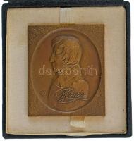 Lengyelország 1973. "Rodem Warszawianin, sercem Polak, a talentem świata obywatel - C. K. Norwid / Chopin (Született varsói, szívében lengyel, tehetsége által pedig világpolgár - C. K. Norwid / Chopin)" kétoldalas bronz emlékplakett eredeti tokban (58x70mm) T:AU Poland 1973. "Rodem Warszawianin, sercem Polak, a talentem świata obywatel - C. K. Norwid / Chopin (A Varsovian by birth, a Pole at heart, and a citizen of the world by talent - C. K. Norwid / Chopin)" double-sided bronze commemorative plaque in original case (58x70mm) C:AU