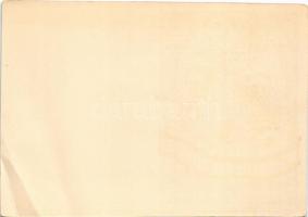 Erste Mannheimer Dampfmühle von Ed. Kauffmann Söhne GmbH 1882-1932. Die Mühle für Qualitätsmehle / E...