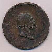 Olasz államok / Lombard-Velencei Királyság / Bergamo 1855. "Donizetti Gaetano / Al trovatore fecondo di sacre e profane melodie (A szent és profán dallamok termékeny trubadúrjához)" bronz emlékérem. Szign.: Pietro Thermignon (67mm) T:VG Italian States / Kingdom of Lombardy-Venetia / Bergamo 1855. "Donizetti Gaetano / Al trovatore fecondo di sacre e profane melodie (To the fertile troubadour of sacred and profane melodies)" bronze commemorative medal. Sign: Pietro Thermignon (67mm) C:VG