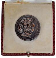 DN "Zrínyi Miklós" egyoldalas Cu emlékérem eredeti tokban. Szign.: ifj. Szlávics László (3...