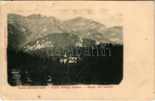 1907 Sinaia, castelul regal / Königl. Schloss. Jos. Drotleff / Királyi kastély / castle (EB)
