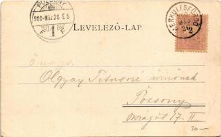 1900 Herkulesfürdő, Baile Herculane; Látkép / general view (EB)