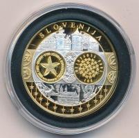 2002-2010 k. "Emlékérem az euróövezet országainak közös valutájáról - Szlovénia" aranyozott, ezüstözött Cu-Ni emlékérem kapszulában, tanúsítvánnyal (35mm) T:PP