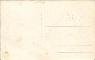 Labin, Albona; Veduta generale / general view