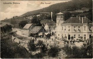 1907 Plesivica, Vila Horvat / villa, inn and restaurant (EK)