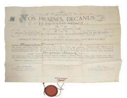 1918 Gyógyszerész diploma, Goldziher Ignác (1850-1921) magyar orientalista, egyetemi tanár, a budapesti izraelita hitközség titkárának aláírásával