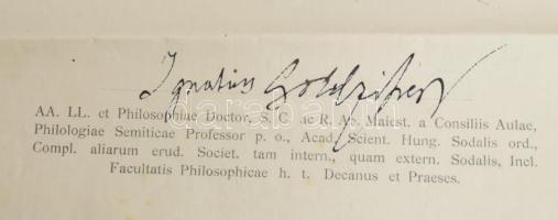 1918 Gyógyszerész diploma, Goldziher Ignác (1850-1921) magyar orientalista, egyetemi tanár, a budape...