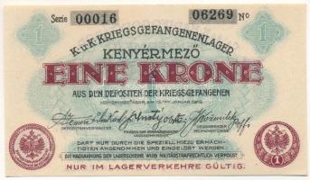 1916. Kenyérmező / Hadifogolytábor 1916. január 15. 1K arab sorozat- és sorszámmal "00016 06269...