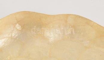 Shell asztalközép kínáló. Csiszolt kagylóhéjakból készített, d: 36 cm