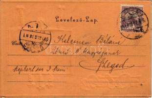 1901 Kassa, Kosice; Múzeum. Ragasztott fotó, szecessziós keretben. László Béla kiadása / museum, glu...