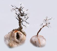 2 darab szerencsefa, m: 8,5 cm