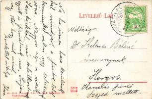 1911 Szovátafürdő, Baile Sovata; Nyaralók. Schuster Emil kiadása / villas (ázott sarkak / wet corner...