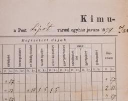 1874 Pest, Lipótvárosi egyház elhunytjainak nevével. Nagy méretű ív