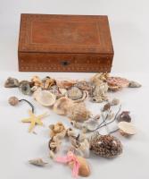 Doboznyi kagyló, csiga.