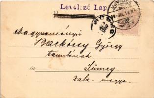 1899 Nyulak és vadászok / Men hunting rabbits. litho (EK)