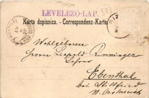 1898 Eszék, Essegg, Osijek; Oberstädter Pfarrkirche, Komitatsgasse, Kaupzinergasse, Eisenbahnbrücke,...