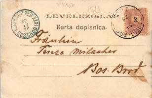 1899 Eszék, Essegg, Osijek; Kolodvorska cesta / Bahnhofstrasse / street view. Ottokar Rechnitzer...