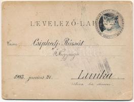 1903 Egyedi, kézzel készített kottás művészlap, E. Bach: Tavasz Ébredése, hölgy zongoránál, hátoldal...