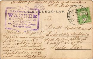 1915 Budapest, Repülőverseny meeting. Sziluettes művészlap, hátoldalán Wágner a hangszerkirály reklá...